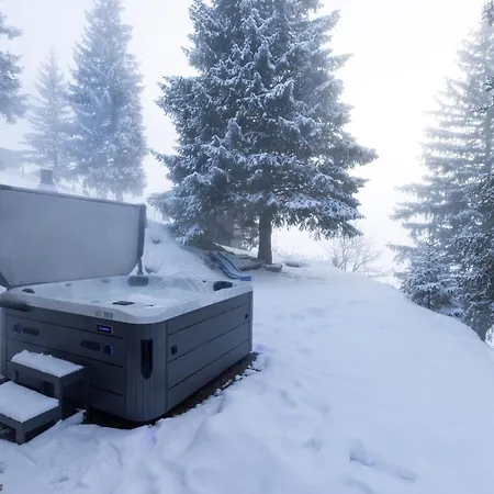 Cozy Alpine - Hot Tub & Balcony Views 아파트 Axalp